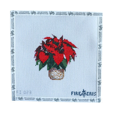 Poinsettia