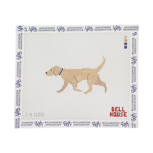 Yellow Lab