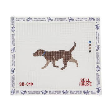 Chocolate Lab