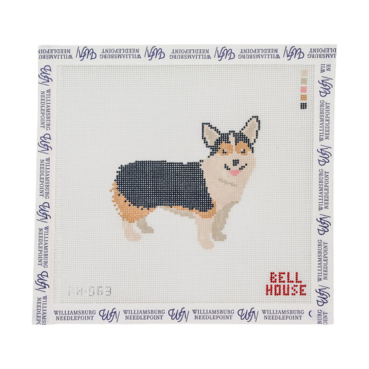 Corgi - Tricolor