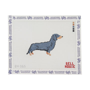 Dachshund - Black & Tan