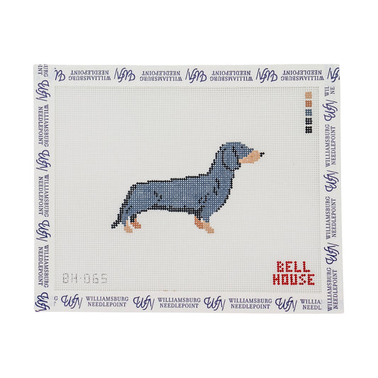 Dachshund - Black & Tan