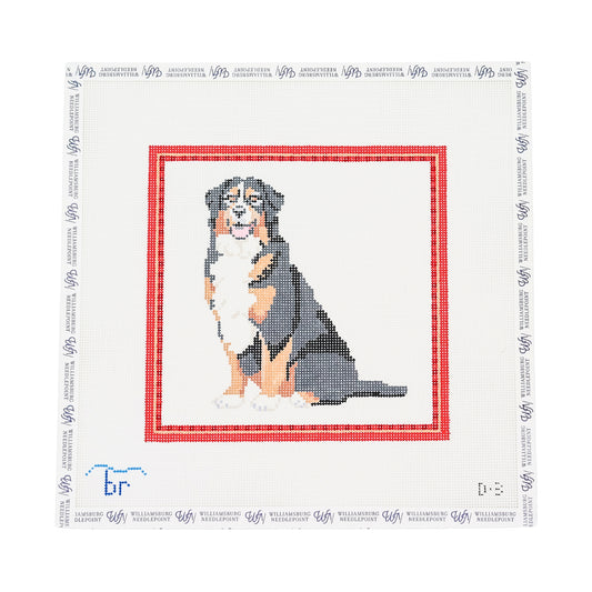 Bernese Mountain Dog