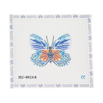 Blue Autumn Butterfly