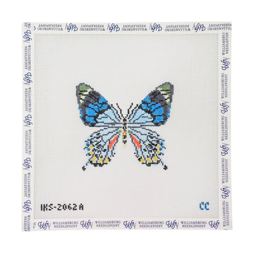 Blue Grey Butterfly