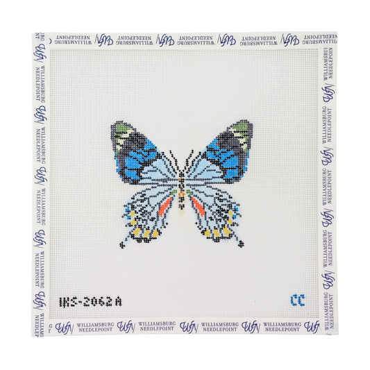 Blue Grey Butterfly