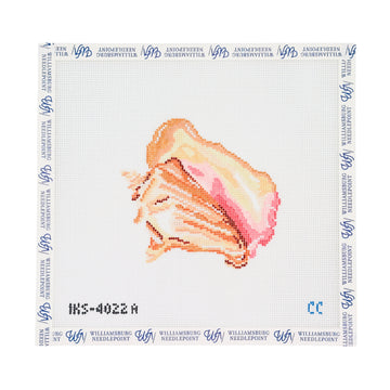 Queen Conch