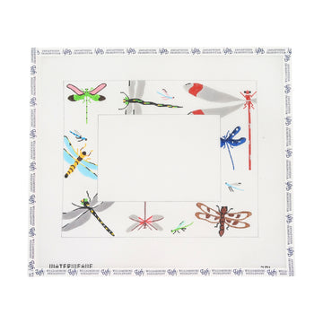 Dragonfly Frame