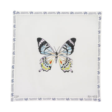 Butterfly AN450