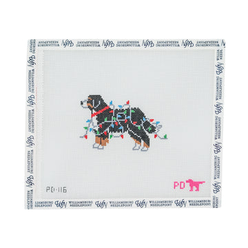 Bernese Mountain Dog Wrapped in Lights