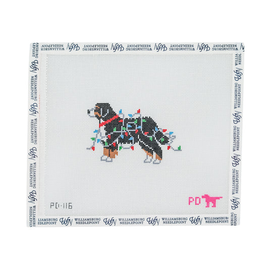 Bernese Mountain Dog Wrapped in Lights