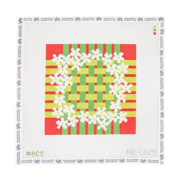 Paperwhites 8 x 8