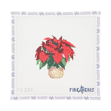 Poinsettia