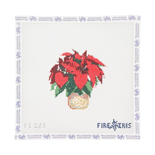 Poinsettia
