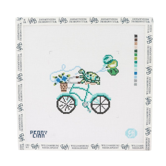 Turtle On A Bike