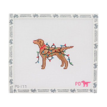 Vizsla Wrapped in Lights