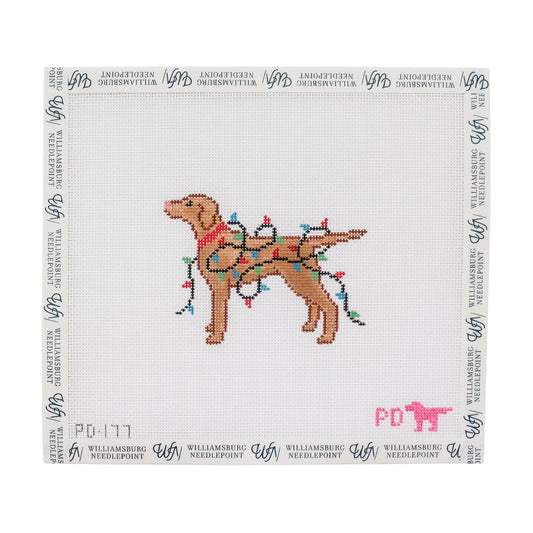 Vizsla Wrapped in Lights