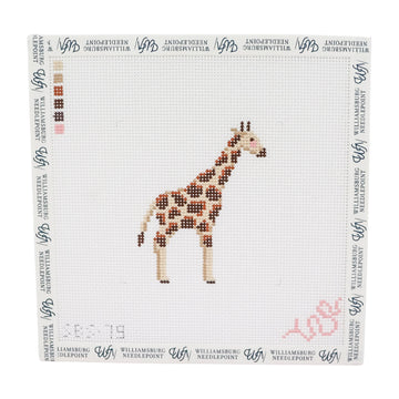 Baby Giraffe