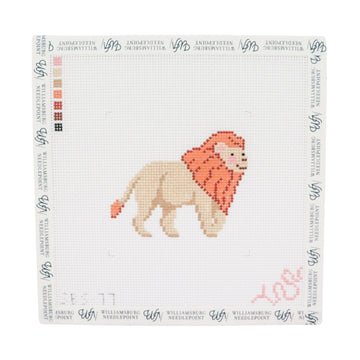 Baby Lion