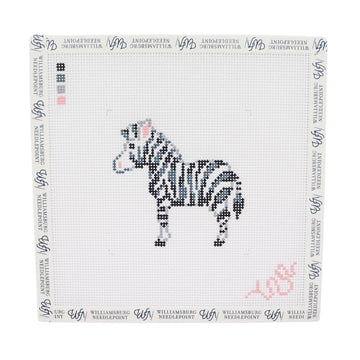 Baby Zebra