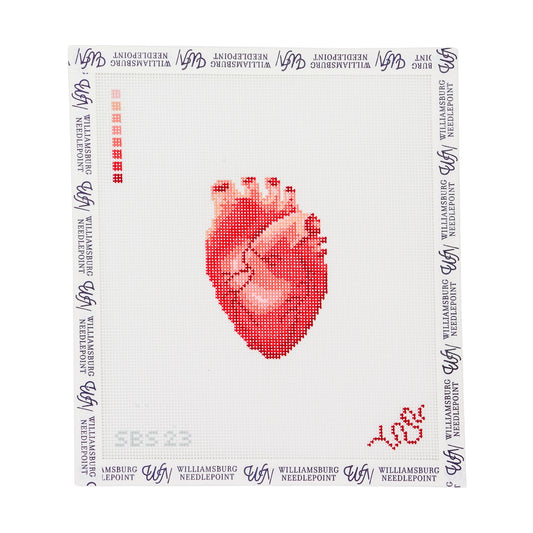 Anatomical Heart