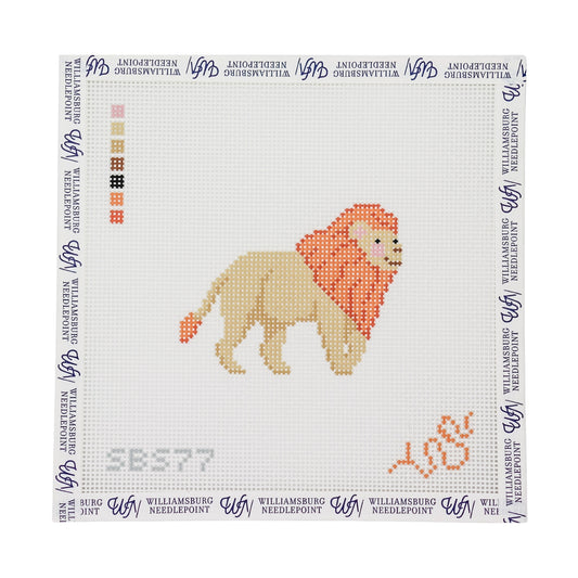 Baby Lion