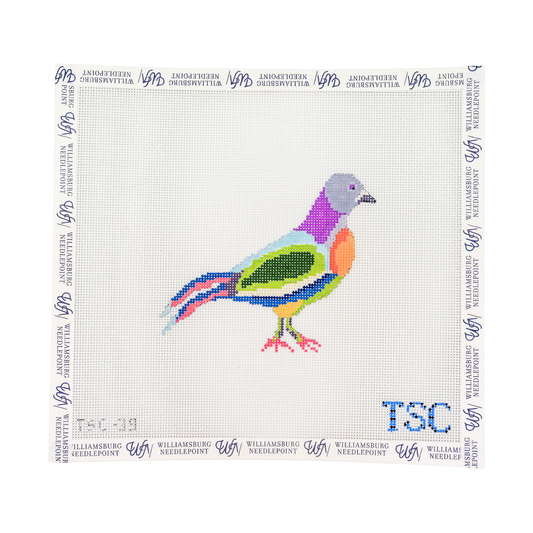 Fancy Pigeon